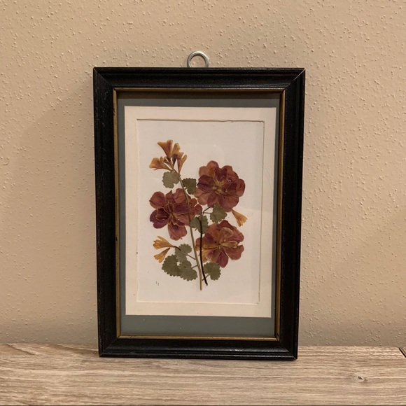 Vintage Other - Vintage framed pressed flowers
